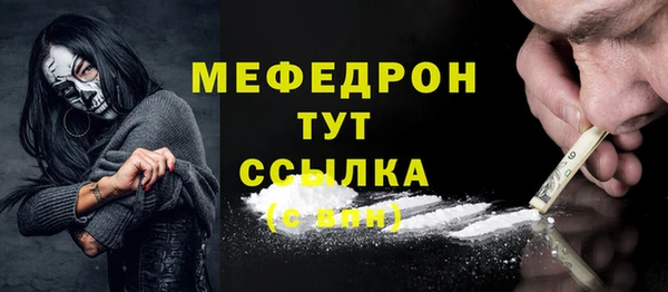 мдпв Гусев