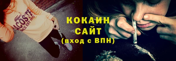 стаф Гусь-Хрустальный