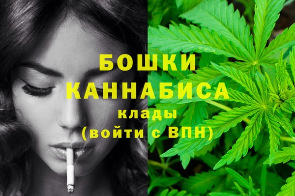 стаф Гусь-Хрустальный