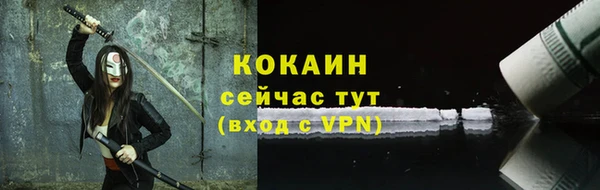 мдпв Гусев