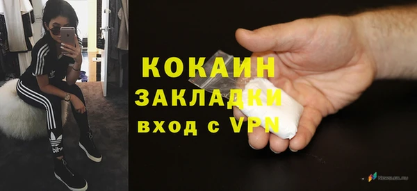 стаф Гусь-Хрустальный