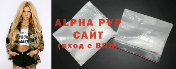 мдпв Гусев