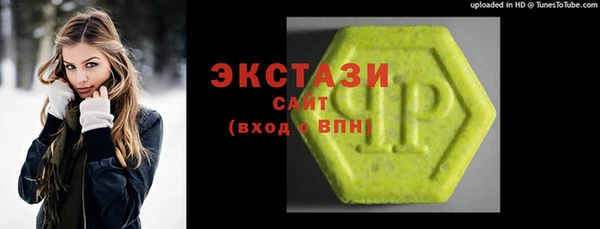 мдпв Гусев