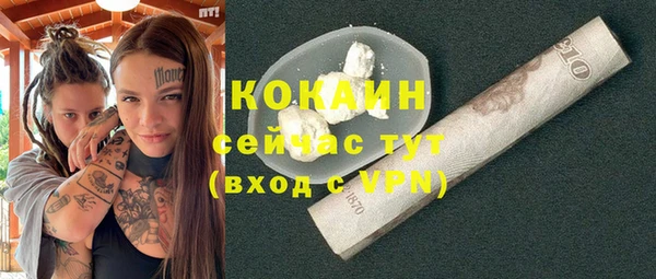 стаф Гусь-Хрустальный