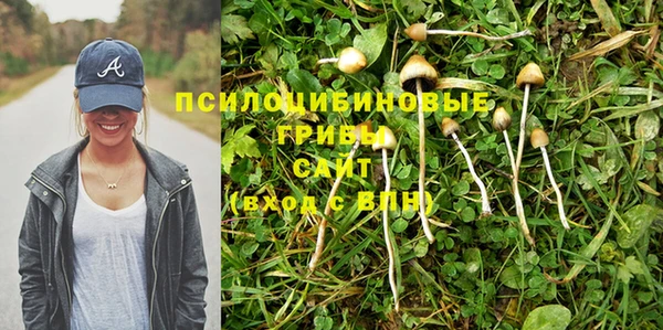 мдпв Гусев