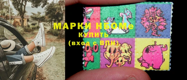 мдпв Гусев