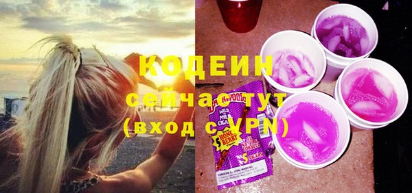 стаф Гусь-Хрустальный