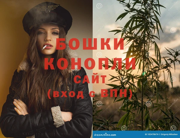 стаф Гусь-Хрустальный