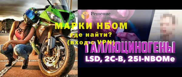 мдпв Гусев