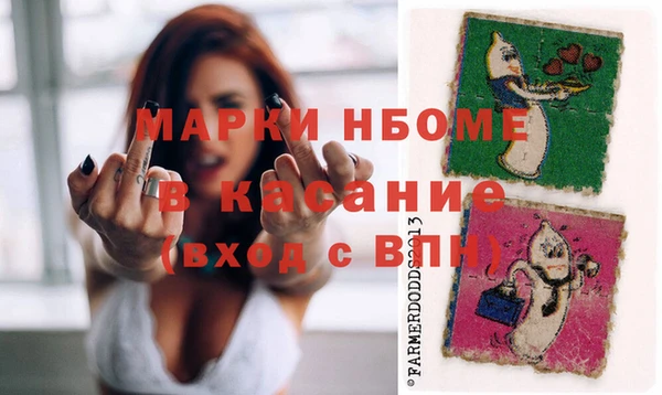 мдпв Гусев