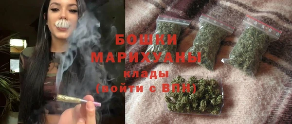 стаф Гусь-Хрустальный