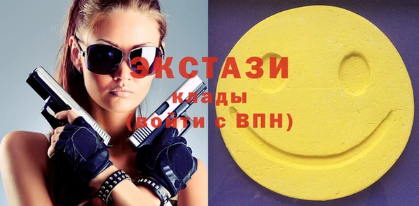 мдпв Гусев