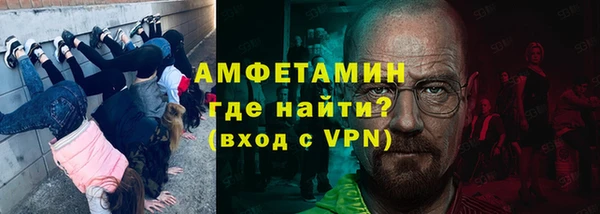 мдпв Гусев