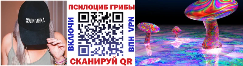 Псилоцибиновые грибы Psilocybe  Сурск 